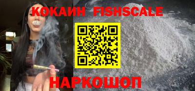 стаф Кингисепп