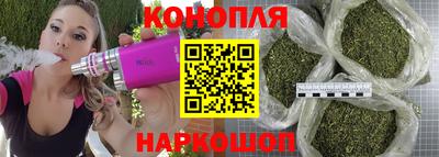 стаф Кингисепп