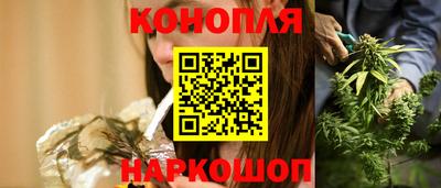 стаф Кингисепп