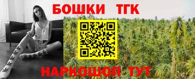 стаф Кингисепп