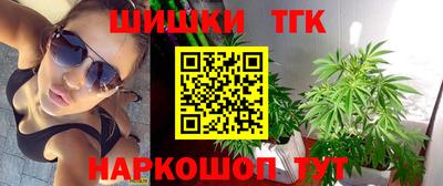 стаф Кингисепп