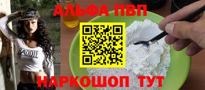 стаф Кингисепп