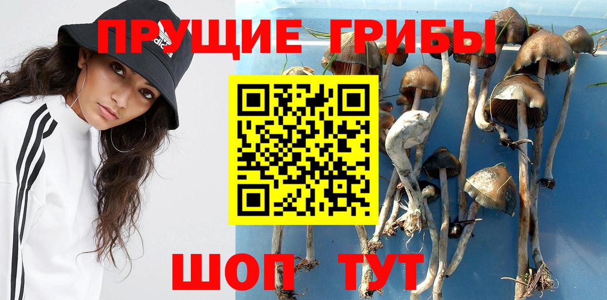 Псилоцибиновые грибы Magic Shrooms  Псилоцибиновые грибы Cubensis  Вход с VPN  Кострома 